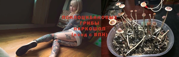 Альфа ПВП Алексин