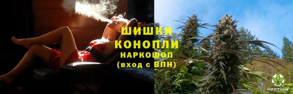 индика Алексеевка