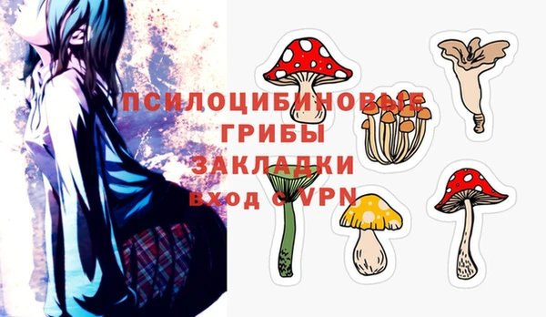 Альфа ПВП Алексин