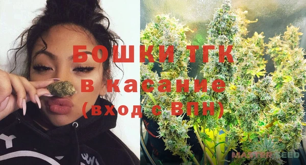 индика Алексеевка