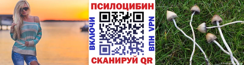 Псилоцибиновые грибы мицелий  Кукмор 